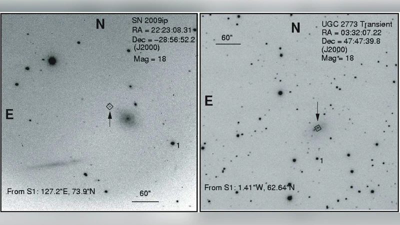 Discovery of Precursor LBV Outbursts in Two Recent Optical Transients:   The Fitfully Variable Missing Links UGC 2773-OT and SN 2009ip
