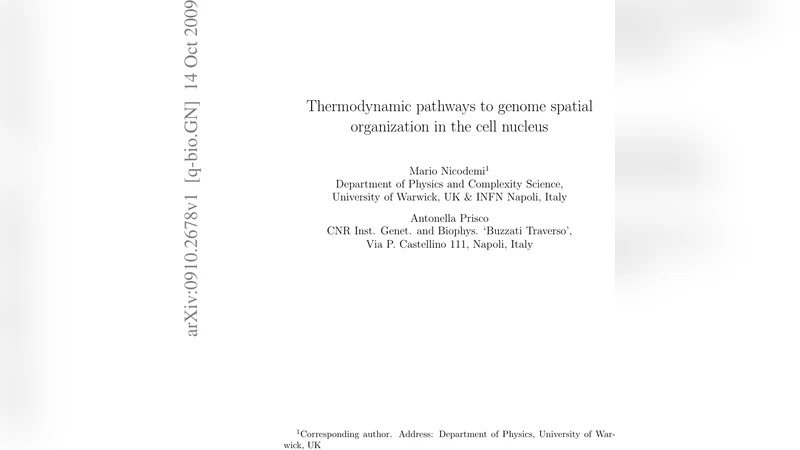Thermodynamic pathways to genome spatial organization in the cell   nucleus