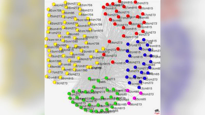 Bloggers Behavior and Emergent Communities in Blog Space