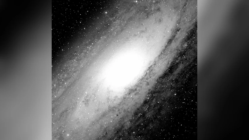 X-ray emission from optical novae in M 31