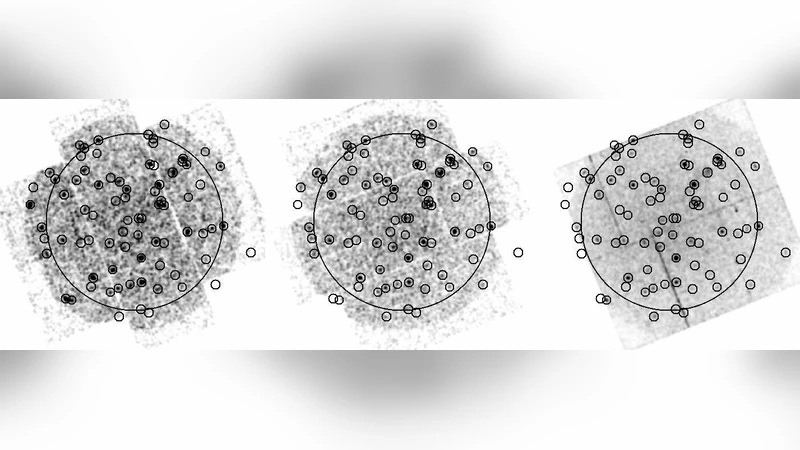 A high charge state Coronal Mass Ejection seen through solar wind charge   exchange emission as detected by XMM-Newton