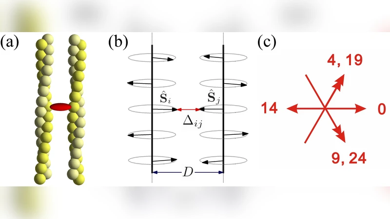 Cooperativity and Frustration in Protein-Mediated Parallel Actin Bundles