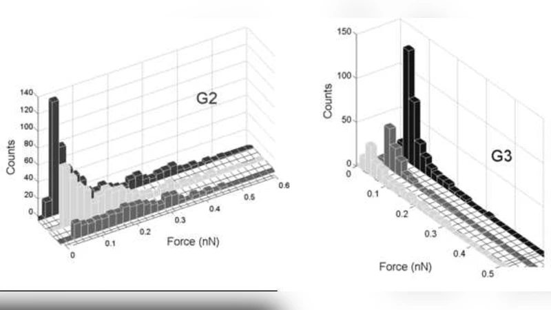 Network theory approach for data evaluation in the dynamic force   spectroscopy of biomolecular interactions