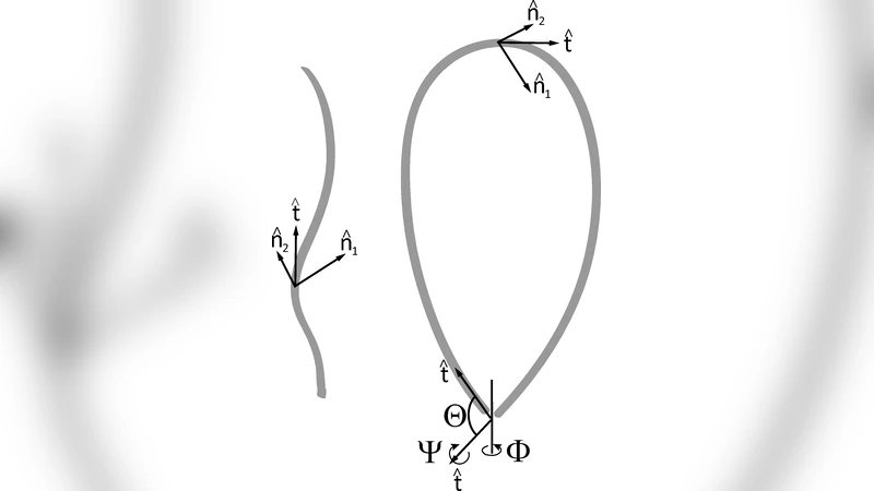 A Generalized Theory of DNA Looping and Cyclization