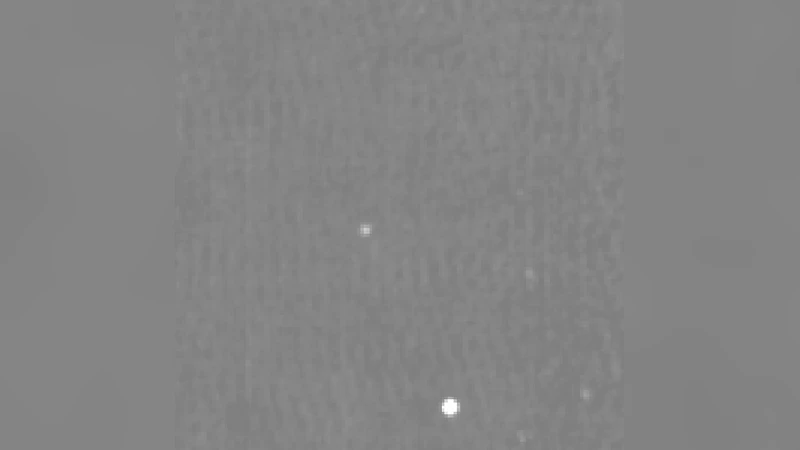 The peculiar high-mass X-ray binary 1ES 1210-646