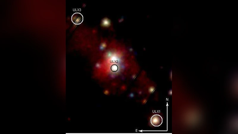 Effects of Hebbian learning on the dynamics and structure of random   networks with inhibitory and excitatory neurons