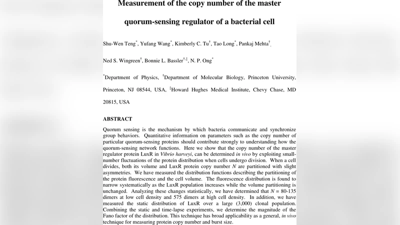 Measurement of the copy number of the master quorum-sensing regulator of   a bacterial cell