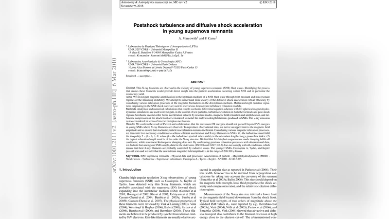 Postshock turbulence and diffusive shock acceleration in young supernova   remnants
