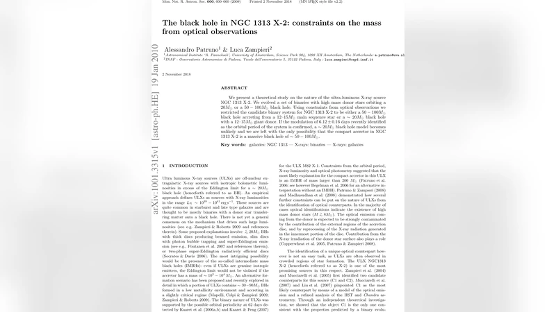 The black hole in NGC 1313 X-2: constraints on the mass from optical   observations