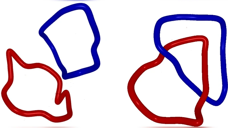 Topological interactions between ring polymers: Implications for   chromatin loops