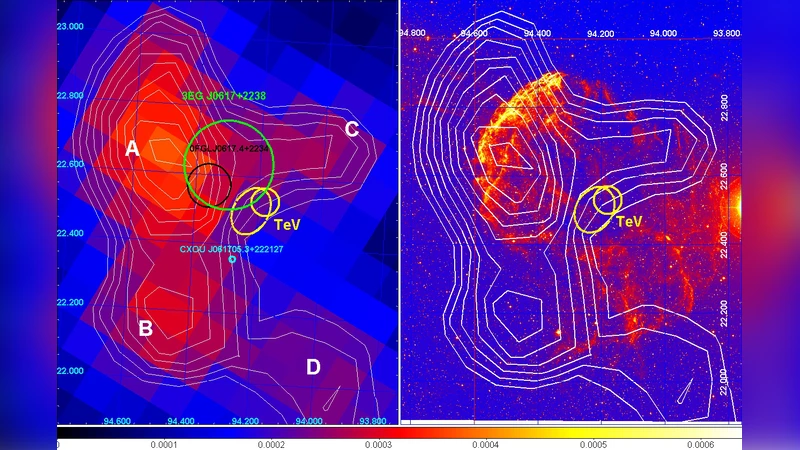Direct Evidence for Hadronic Cosmic-Ray Acceleration in the Supernova   Renmant IC 443