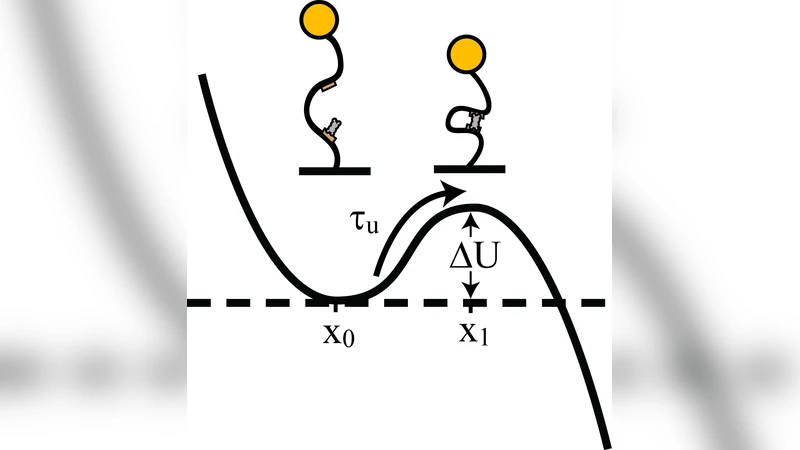Protein-mediated DNA Loop Formation and Breakdown in a Fluctuating   Environment
