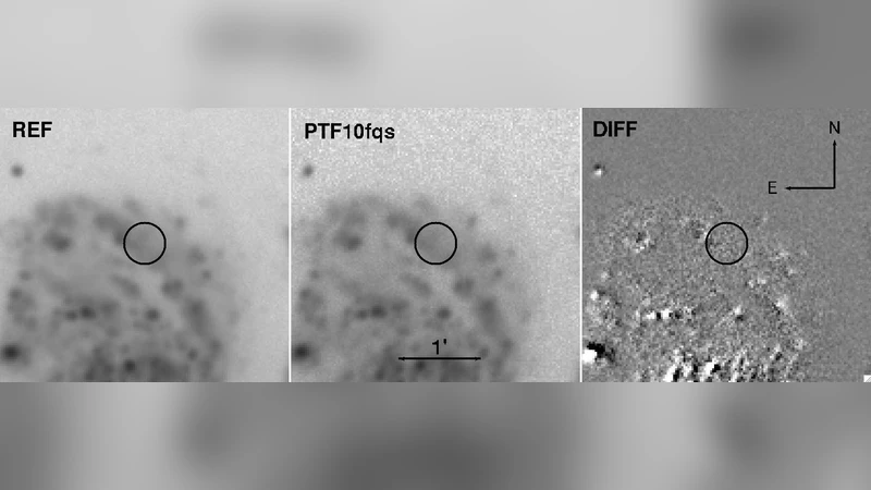 PTF10fqs: A Luminous Red Nova in the Spiral Galaxy Messier 99