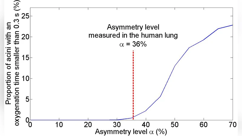 Optimal branching asymmetry of hydrodynamic pulsatile trees