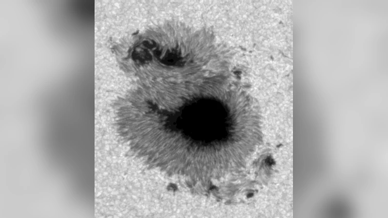 Magnetic Tension of Sunspot Fine Structures
