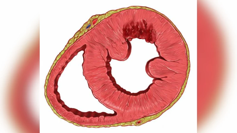 Evolution of spiral and scroll waves of excitation in a mathematical   model of ischaemic border zone