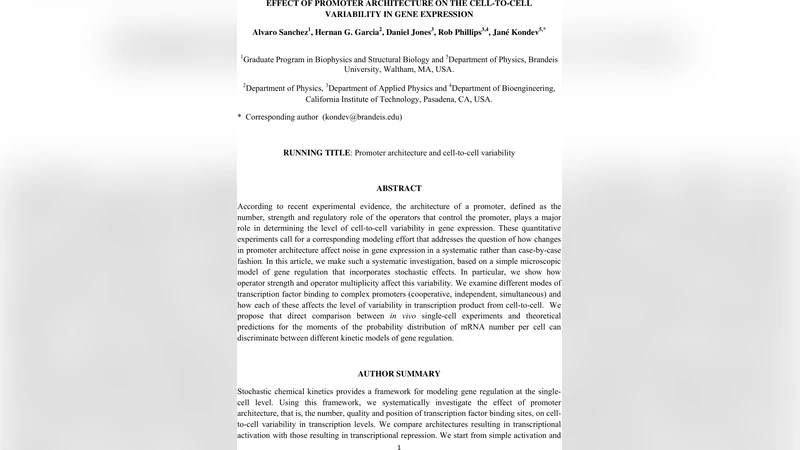 Effect of promoter architecture on the cell-to-cell variability in gene   expression