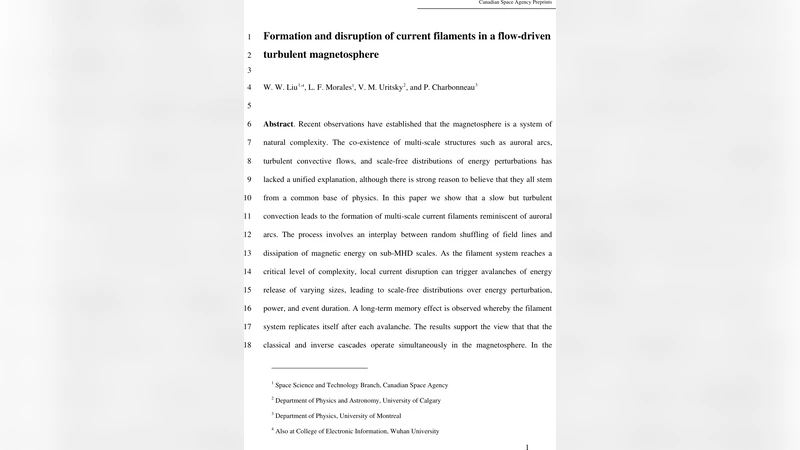 Formation and disruption of current filaments in a flow-driven turbulent   magnetosphere