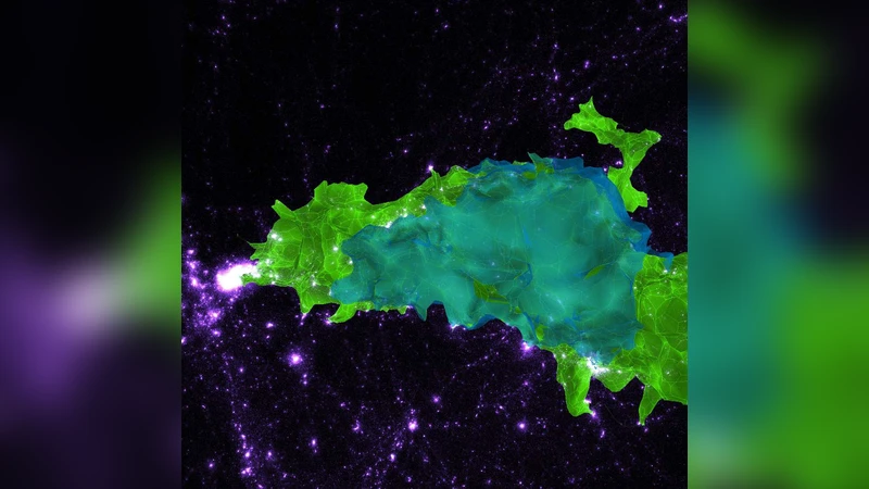 The persistent cosmic web and its filamentary structure II:   Illustrations