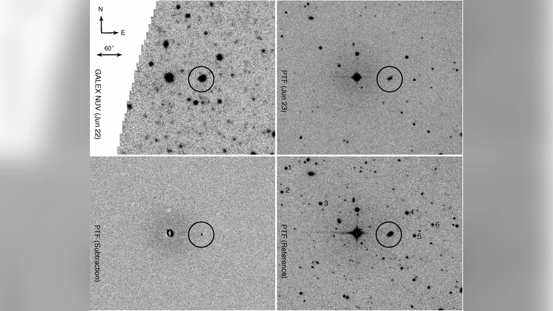 Adapt or Die: Polynomial Lower Bounds for Non-Adaptive Dynamic Data   Structures