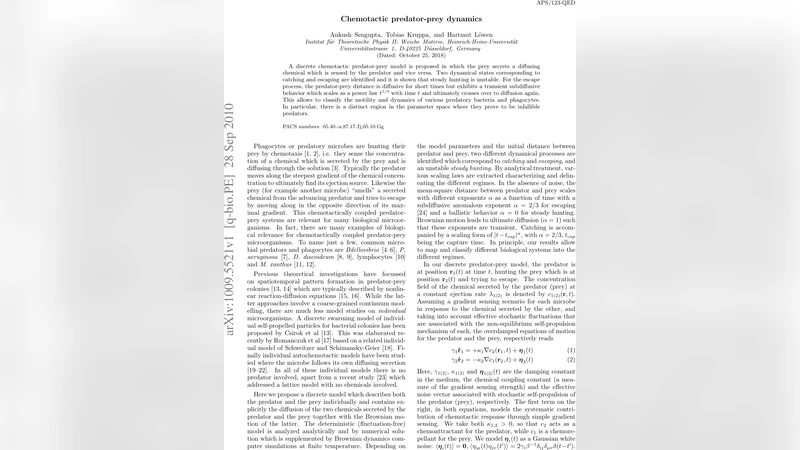 Chemotactic predator-prey dynamics