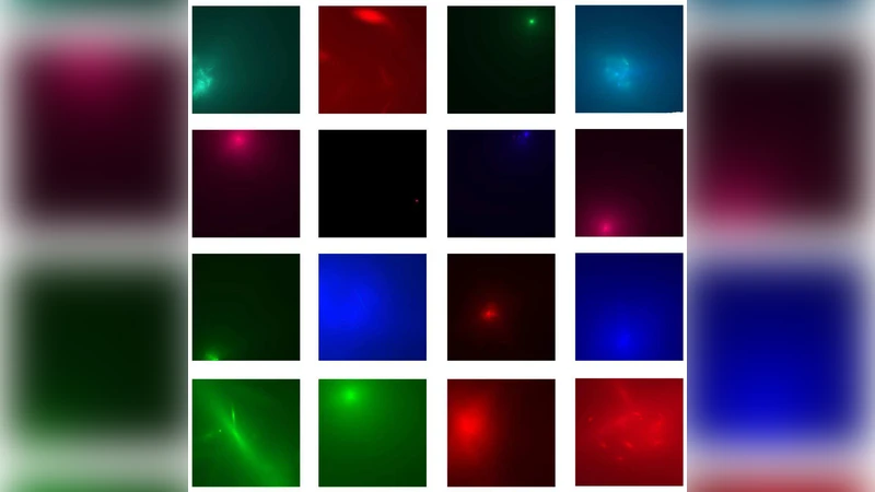 Modelling of the Complex CASSOWARY/SLUGS Gravitational Lenses