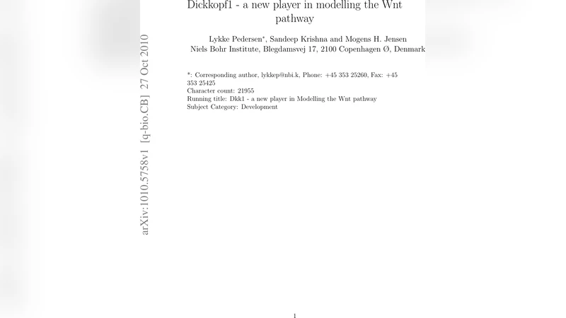 Dickkopf1 - a new player in modelling the Wnt pathway