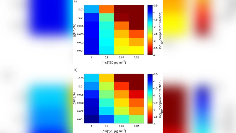 Theory of cooperation in a micro-organismal snow-drift game