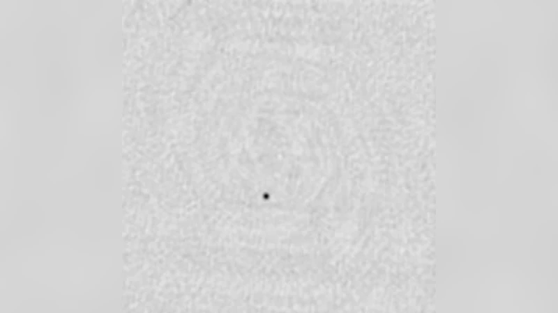 An automated archival VLA transients survey