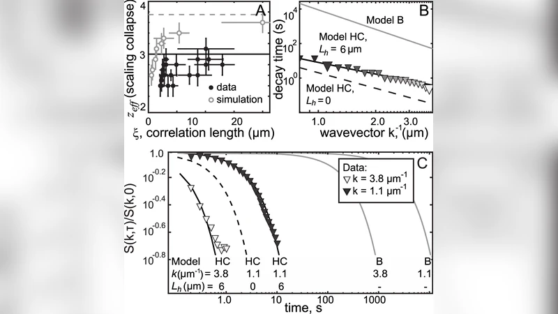 Experimental observations of dynamic critical phenomena in a lipid   membrane