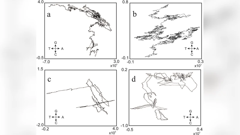 Intermittency as a universal characteristic of the complete chromosome   DNA sequences of eukaryotes: From protozoa to human genomes
