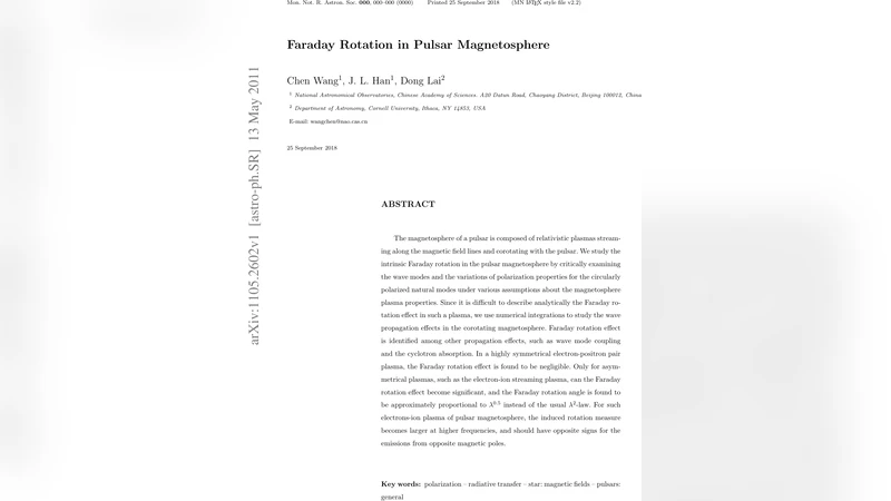 Faraday Rotation in Pulsar Magnetosphere