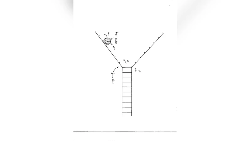 The Boltzmann factor, DNA melting, and Brownian ratchets: Topics in an   introductory physics sequence for biology and premedical students