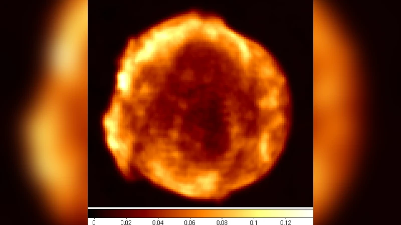 Strong evidences of hadron acceleration in Tychos Supernova Remnant
