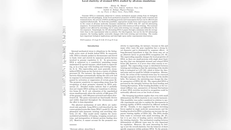 Local elasticity of strained DNA studied by all-atom simulations