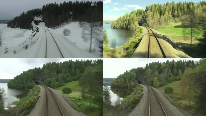 Training a Convolutional Neural Network for Appearance-Invariant Place   Recognition