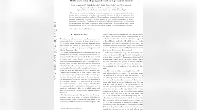 Monte Carlo study of gating and selection in potassium channels