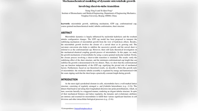 Mechanochemical modeling of dynamic microtubule growth involving   sheet-to-tube transition