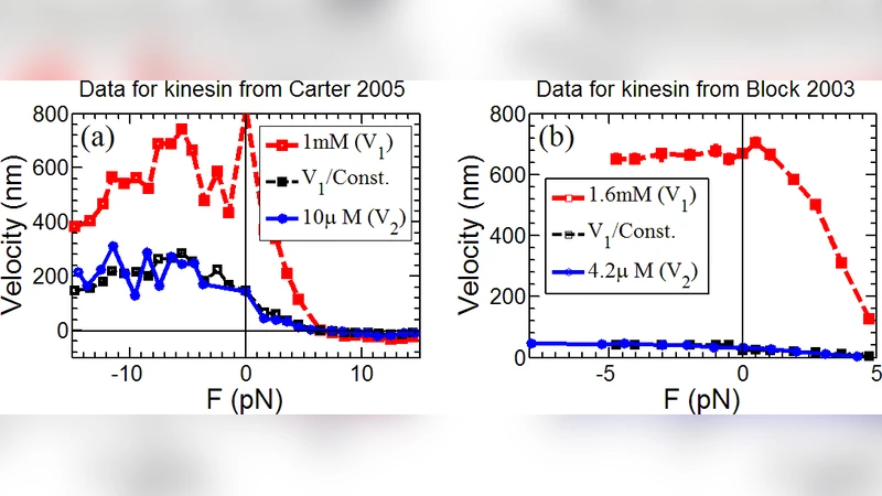 Phenomenological analysis of ATP dependence of motor protein