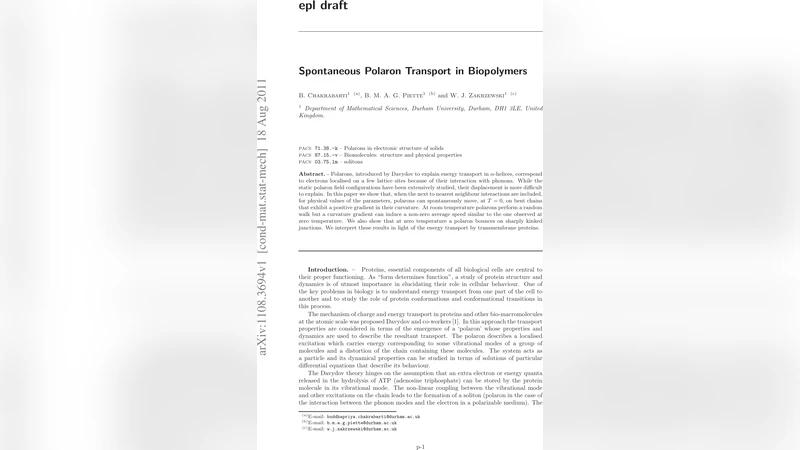 Spontaneous Polaron Transport in Biopolymers