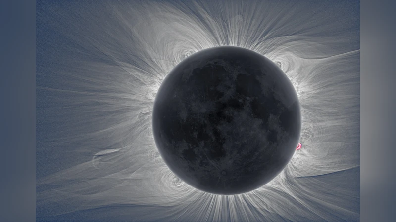 Solar magnetism eXplorer (SolmeX)