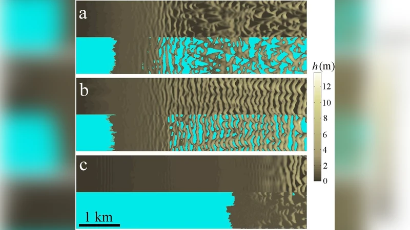 Model for a dune field with exposed water table