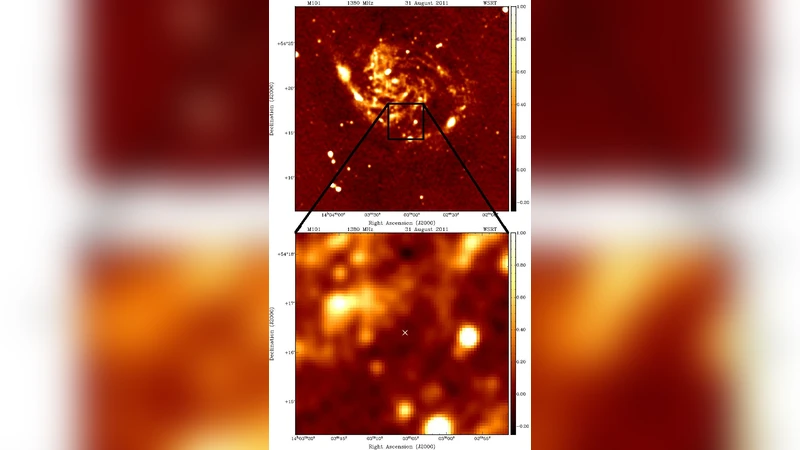 Early radio and X-ray observations of the youngest nearby type Ia   supernova PTF11kly (SN 2011fe)