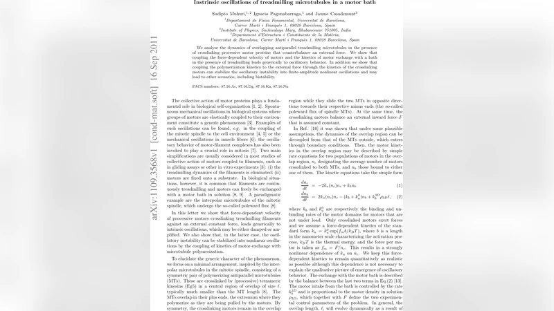 Instrinsic oscillations of treadmilling microtubules in a motor bath