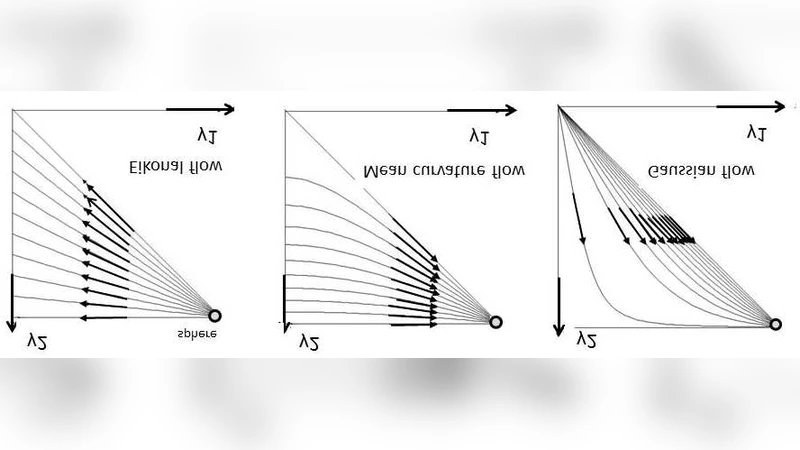 The evolution of pebble size and shape in space and time