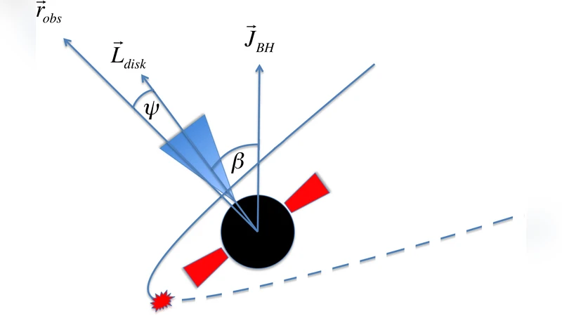 Observing Lense-Thirring Precession in Tidal Disruption Flares