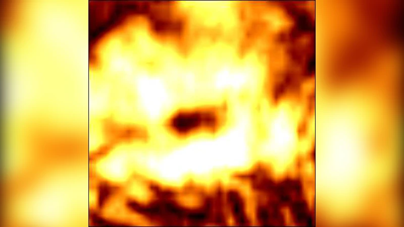 A Sino-German 6cm polarization survey of the Galactic plane VII. Small   supernova remnants