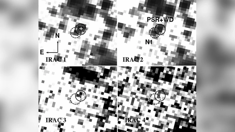 The spectrum of the recycled PSR J0437-4715 and its white dwarf   companion