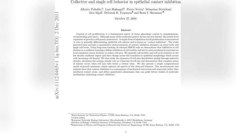 Collective and single cell behavior in epithelial contact inhibition