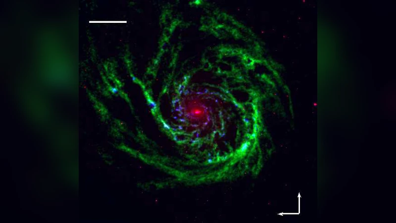 EVLA Observations Constrain the Environment and Progenitor System of   Type Ia Supernova 2011fe
